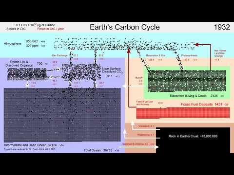 The Earth&#039;s Carbon Cycle