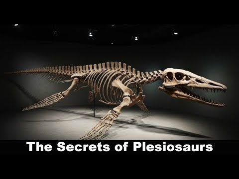 Secrets of the Plesiosaurs 🦕 | Giants of the Prehistoric Ocean Revealed!